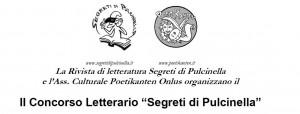 Concorso Letterario “Segreti di Pulcinella 2013″