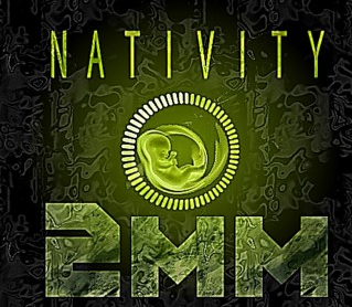 Nativity-Banner-particolare