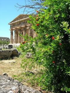 Paestum, la luna e la Magna Grecia.