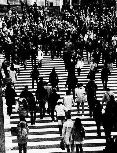 The usual Shibuya crossing madness