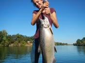Salmone Banane.