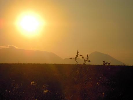 emozioni fotografiche di Adriana Pedicini