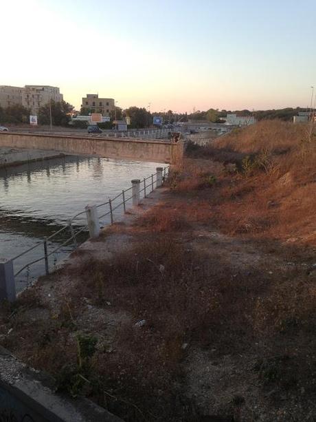 Lido di Ostia, un luogo che se sfruttato a dovere potrebbe macinare più soldi di Miami è ridotto ad uno slum del Nicaragua. Perché?