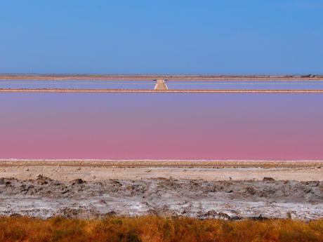 Le saline rosa di Giraud. Un paesaggio irreale.