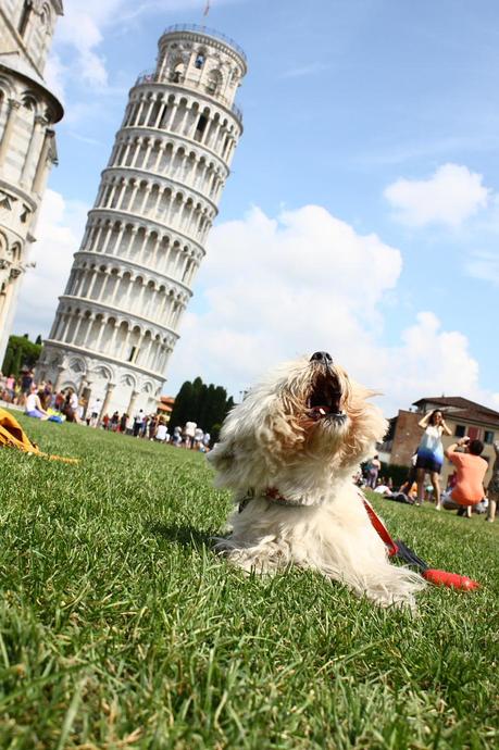 Pisa, Keith Haring e la Torre