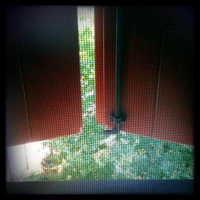 Un piccolo magico posto (La Lepre Bianca, Cento, agriturismo)