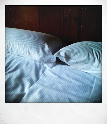 Un piccolo magico posto (La Lepre Bianca, Cento, agriturismo)