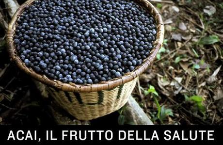 Frutto Acai, nutriente fa bene alla salute. Proprietà e uso.