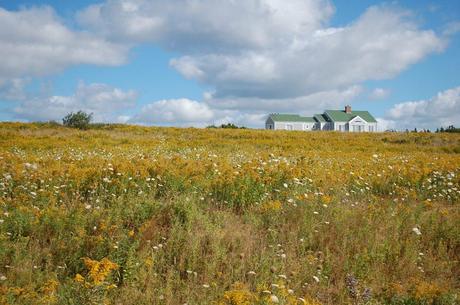 PEI panorama