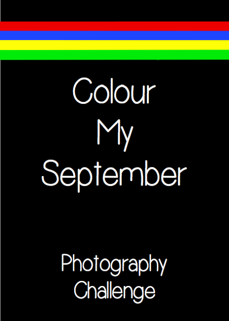 Colour My September: a photography challenge by Rowdy Fairy Blog