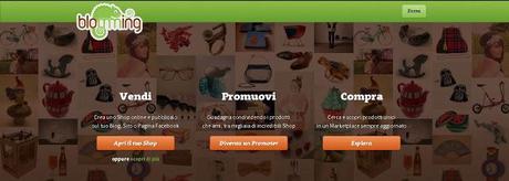 Il social e-commerce funziona!