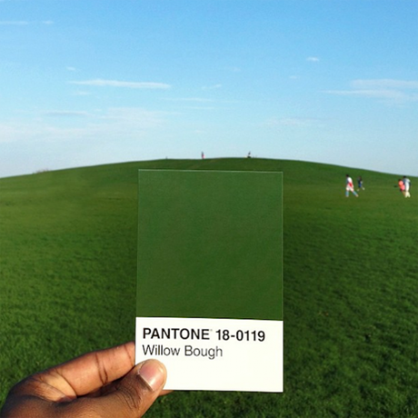 La viralità del Pantone Project