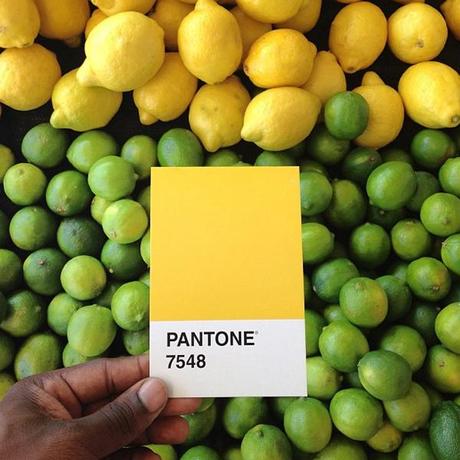 La viralità del Pantone Project