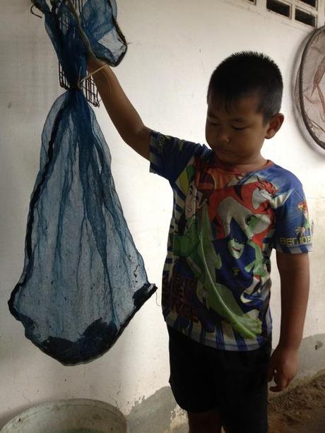 Fotoquiz: cos'è e a cosa serve?