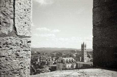 Siena - Immagine 026