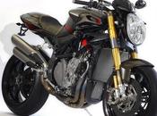 Agusta Brutale "Kuma" 2013 Moto Corse