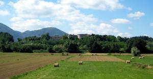 Campagna lucchese