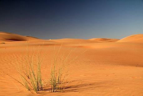 Oman: l’ospitalità araba nel suo massimo splendore