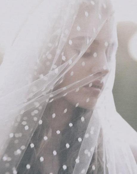 the wedding veil