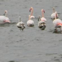 Oristano S'Ena Arrubia Urgenti gli interventi di ripristino danni