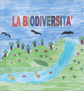 biodiversità Casalanguida