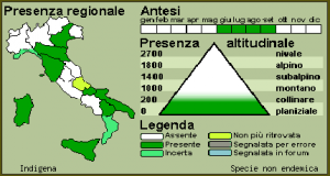 Distribuzione della Canforata di Montpellier in Italia