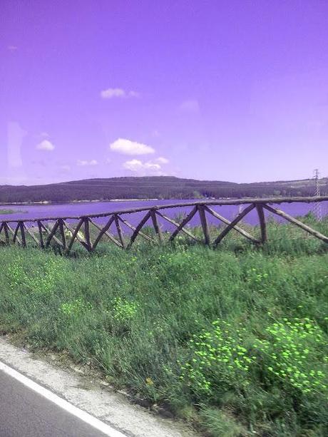 una giornata da lupi ( e meno male che c'era il tabbouleh!!!) to do list n 19 andare in sicilia (ops calabria - il parco nazionale della sila)