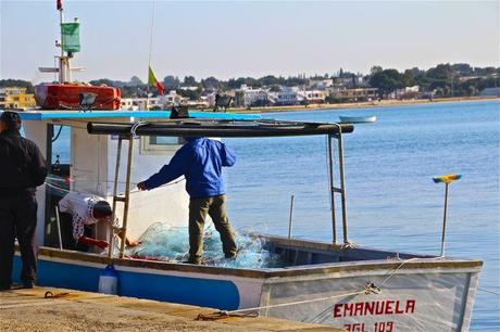 SECRET CITY LIFE | Porto Cesareo. Voce del verbo 