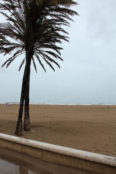 Paseo Maritimo_valencia_viaggiandovaldi