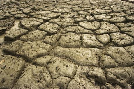 Emergenza acqua!