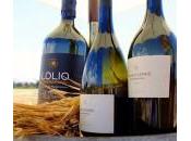 Cascine masserie aperte grande festa vino