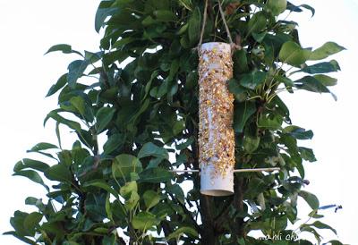 Mangiatoia riciclata per gli uccellini