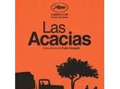 Acacias