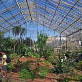 Edimburgo, alla scoperta del giardino botanico