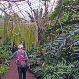 Edimburgo, alla scoperta del giardino botanico