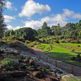 Edimburgo, alla scoperta del giardino botanico