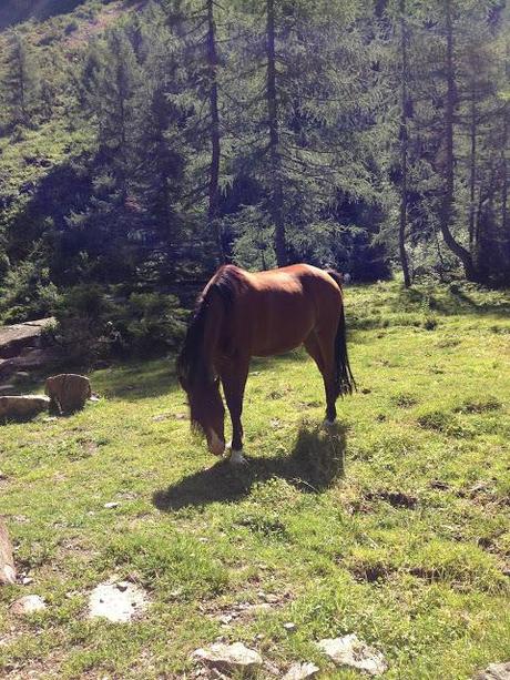 La nostra #albeinmalga, una bellissima giornata in quota