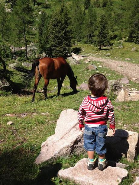 La nostra #albeinmalga, una bellissima giornata in quota