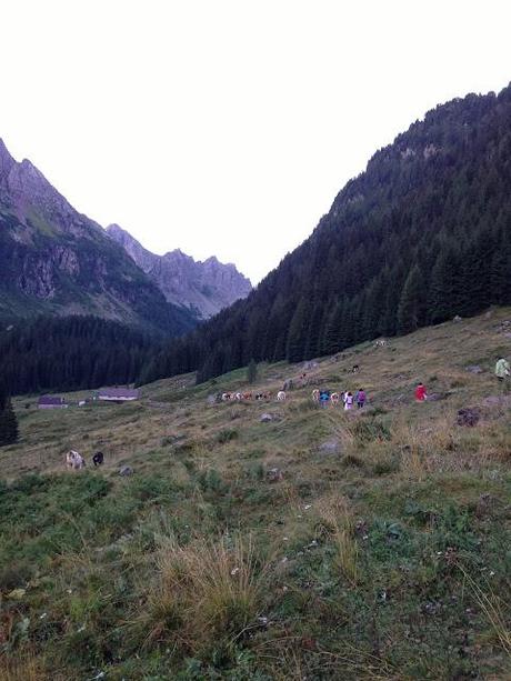 La nostra #albeinmalga, una bellissima giornata in quota