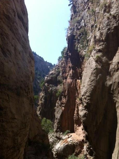 BUTTERFLY VALLEY