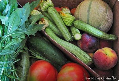 Antipasti di zucchine: fiori in tavola!