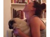 cane adora solletico (Video)