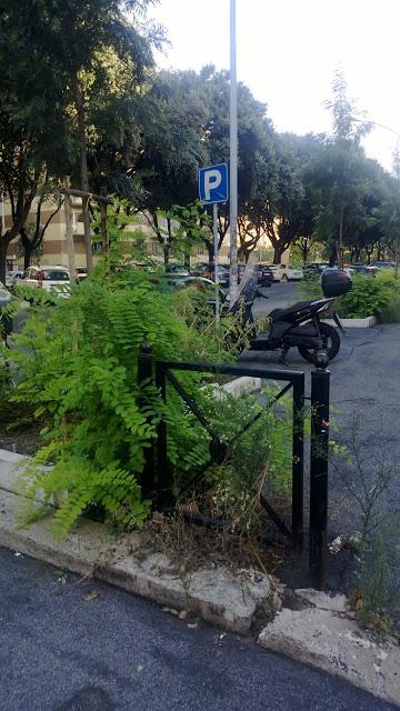 La vegetazione che si riprende la città. Jurassic Park a San Paolo