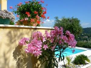 chambre d'hote avec piscine mougins