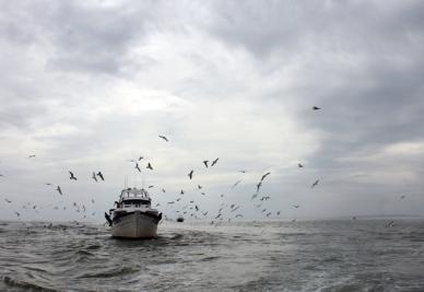 LA PESCA DALLA BARCA GRANDE MOTTE