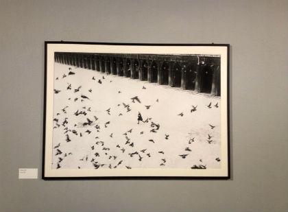 Gianni Berengo Gardin in mostra al Palazzo Reale di Milano