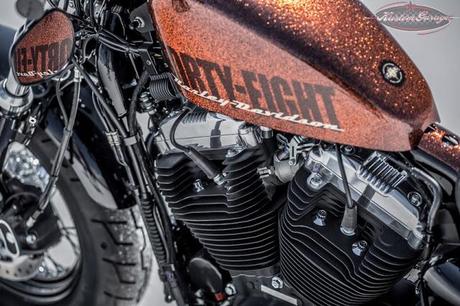 Harley-Davidson MY 2014: Sportster Forty-Eight