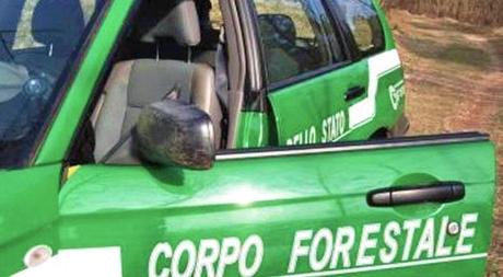 L'11 Settembre sciopero dei forestali in Sicilia