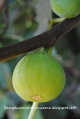 Il mio giardino in agosto