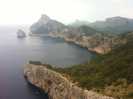 Palma de mallorca